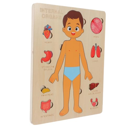 ZUNOXAZ Kinderspiel Holzpuzzle Human Organs mit Abnehmbaren Organen Lernspielzeug für Jungen und Mädchen zur Gedächtnis und Körperkenntnis ZUNOXAZ Kinderspiel Holzpuzzle Human Organs mit Abnehmbaren Organen Lernspielzeug für Jungen und Mädchen zur Gedächtnis und Körperkenntnis von ZUNOXAZ