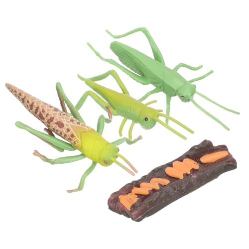 ZUNOXAZ Lernspielzeug Teiliges Tier Lebenszyklus Modelle Realistische Insekten Simulation Pädagogisches für Vorschüler und Naturentdecker ZUNOXAZ Lernspielzeug Teiliges Tier Lebenszyklus Modelle Realistische Insekten Simulation Pädagogisches für Vorschüler und Naturentdecker von ZUNOXAZ
