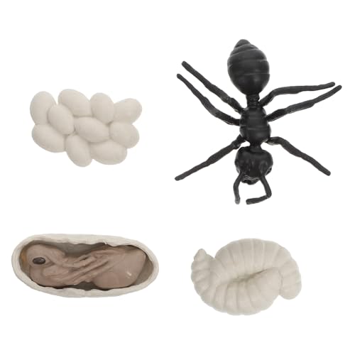 ZUNOXAZ Realistisches Ameisen wachstumszyklus Modell Lebensnahe Arbeiterameisen Figuren Pädagogisches Tier Diorama für Kinderzimmerdekoration und Kreatives Lernspielzeug ZUNOXAZ Realistisches Ameisen wachstumszyklus Modell Lebensnahe Arbeiterameisen Figuren Pädagogisches Tier Diorama für Kinderzimmerdekoration und Kreatives Lernspielzeug von ZUNOXAZ
