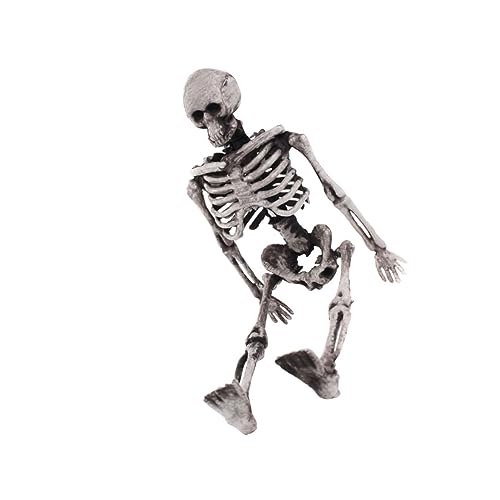 ZUNOXAZ Realistisches Kleines Skelett Deko Modell Langlebige Halloween Prank Requisite Robustes Miniatur Knochengerüst für Halloween Party und Gruselige Dekorationen ZUNOXAZ Realistisches Kleines Skelett Deko Modell Langlebige Halloween Prank Requisite Robustes Miniatur Knochengerüst für Halloween Party und Gruselige Dekorationen von ZUNOXAZ