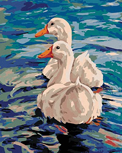 ZUTY 1199242, Malen nach Zahlen-Zwei Enten AUF DEM Wasser 80x100 cm ohne Keilrahmen, not Framed von ZUTY