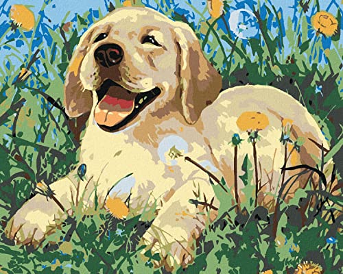 ZUTY 1534212, Malen nach Zahlen-HUNDEWELPE IM LÖWENZAHN 80x100 cm ohne Keilrahmen von ZUTY