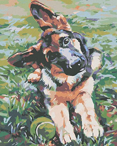 ZUTY 1672230, Malen nach Zahlen-WELPE VOM SCHÄFERHUND 40x50 cm ohne Keilrahmen, not Framed von ZUTY