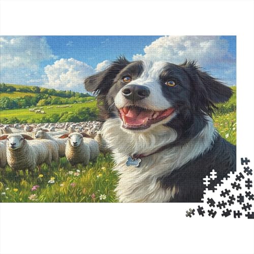 Border Collie Puzzle 1000 Teile Puzzles Für Erwachsene Lernspiel Herausforderungsspielzeug 1000-teilige Puzzlespiel Für Erwachsene Kinder Puzzel 1000pcs (75x50cm) von ZWABFOFYV