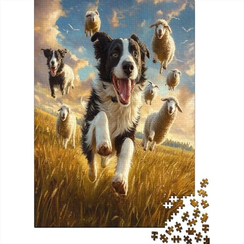 Border Collie Puzzlespiel 1000 Teile, Puzzle Erwachsene 1000 Teile, Impossible Puzzle Geschicklichkeitsspiel Für Die Ganze Familie, Puzzle Erwachsene 1000 Teile Puzzel 1000pcs (75x50cm) von ZWABFOFYV