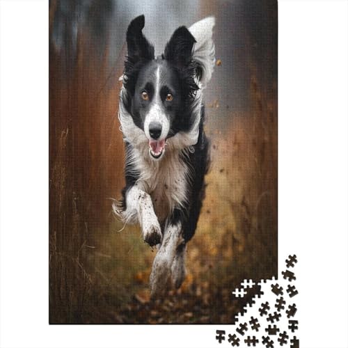 Border Collie Puzzlespiel 1000 Teile Erwachsene -Puzzle 1000 Stück Spiel Puzzles Für Erwachsene Kinder Puzzle Erwachsenen Puzzlespiel Puzzel 1000pcs (75x50cm) von ZWABFOFYV