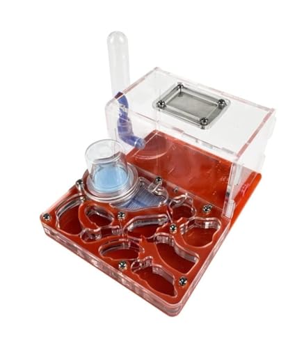 Ameisennest Ameisenfarm Ameisenhaus Acryl Ant Castle Ant Zucht Feuchtigkeitsspendende Nest Wissenschaftliche Beobachtung DIY Ant Nest Castle Ant Ameisen Terrarium Ameisen Zucht Box(Rood) von ZWQXZX