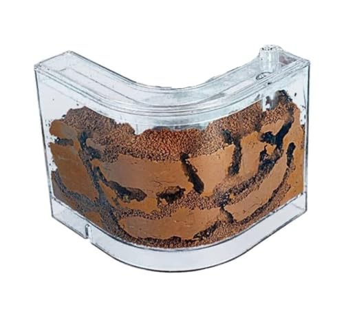 Ameisennest Ameisenfarm Ameisenhaus Ameisenburg Mit Lehm Und Sand Gefüllte Ameisenfarm, Ameisennest, Lebensraum, Professionelle Ameisennestfarm Ameisen Terrarium Ameisen Zucht Box(1pcs) von ZWQXZX