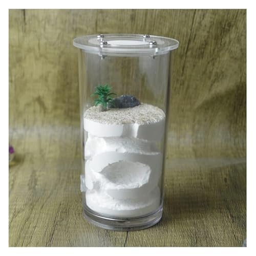 Ameisennest Ameisenfarm Ameisenhaus Ameisennest Farm Becher Gips Ameisenburg Fütterung Hydratisierendes Nest Lebensraum Ameisenfarm Ameisennest Burg Ameisen Terrarium Ameisen Zucht Box(White) von ZWQXZX