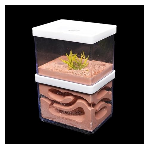 Ameisennest Ameisenfarm Ameisenhaus Gips Ameisenfarm Natürliches Ökologisches Großes Ameisennest Insektenburg Werkstatt Haustier Ameisenhaufen Ameisenhaus Ameisen Terrarium Ameisen Zucht Box(16cm) von ZWQXZX