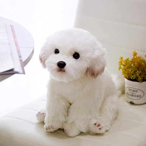 ZYKAA Hochwertige Simulation Bichon Frise Dog Plüschtier Gefüllte Lebensechte Pomeranian Dog Puppy Toys Home Decor Kids Brithday 38X21X26cm Malteser von ZYKAA