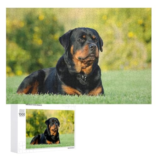 Klassische Puzzle für Erwachsene Teenager Freizeit Spaß Spiel Spielzeug Geeignet für Familie Freunde Dekorativ，1000 StüCk Rottweiler Hund OutdoorLernspielzeug FüR Kinder 70x50 von ZZZANA