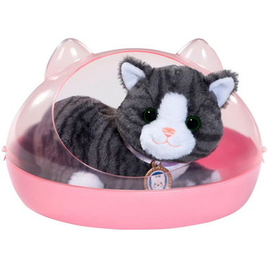 Zapf Creation BABY born® Meine Katze Cookie mit Box von Zapf Creation