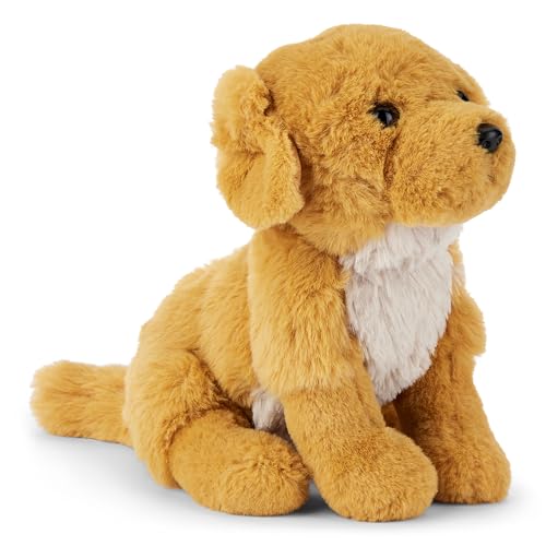 Zappi Co Bailey der Goldene Retriever Plüschhund (20 cm) - Goldie Hund - Weich, Kuschelig, Recycelt - Perfekter Familienbegleiter von Zappi Co