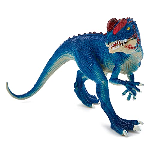 Zappi Co Kinder Diloposaurus Dinosaurier Figuren Spielzeug (14 cm Länge) Realistische Detaillierte Dino-Sammlung Actionfiguren von Zappi Co