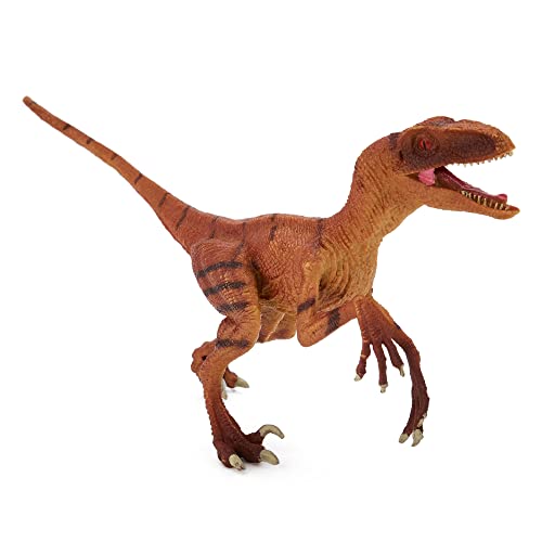 Zappi Co Kinder Velociraptor Orange Dinosaur Figur Spielzeug (23 cm Länge) Realistische detaillierte Dino-Sammlung Action-Figuren von Zappi Co