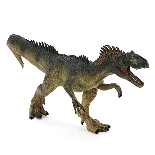 Zappi Co Kinders Allosaurus Dinosaurier Figur Spielzeug (23cm Länge) Realistisch Detaillierte Dino Sammlung Action Figuren von Zappi Co