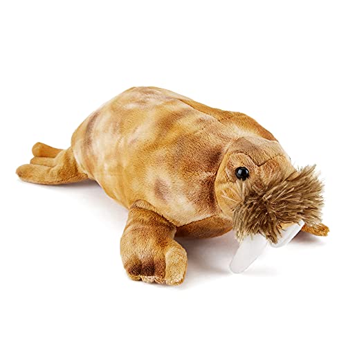 Zappi Co Plüsch Kinder Kuscheltier Weiches Kuschel Plüschtier - Teil der Safari-Tiere-Kollektion, Perfekt für Kinder(33cm)(Walross) von Zappi Co