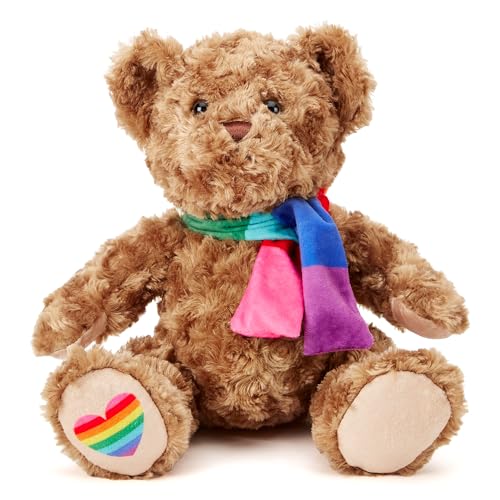 Zappi Co Regenbögi der Pride Klassische Bär Plüschtier Regenbogen-Kumpel - Weich, Kuschelig, 100% Recycelt - Feiere Vielfalt von Zappi Co