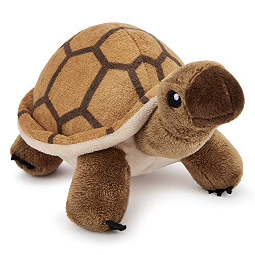 Zappi Co Kinder Kuschelweiches Plüschtier - Perfekte kuschelige Spielgefährten für Kinder Geburtstage und besondere Anlässe(12-15cm) (Schildkröte) von Zappi Co