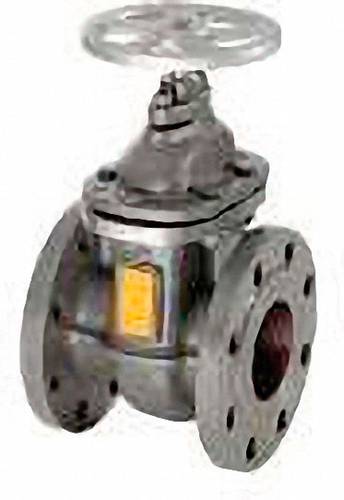 Zehnder Pumpen 10649 Absperrschieber DN 100 Grauguss von Zehnder Pumpen