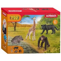 Schleich Wild Life 4er-Pack 15x19cm Schleich Wild Life 4er-Pack 15x19cm von Zentrada