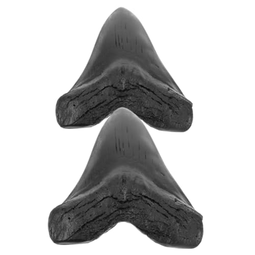 Zerodeko 2 Stück Megalodon Gefälschte Megalodon Zähne Probezähne Riesenhai Megalodon Hai Megalodon Replika Probezähne Riesenreplik Zähne Dekor Ornament Dekoration Schwarz von Zerodeko