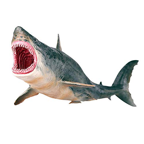 Shark Modell Spielzeug Simulation Megalodon Miniatur Tier Spielzeug Sammlung Figur Marine Tier Modell Ornamente für Wohnaccessoires Dekor von Zerodis