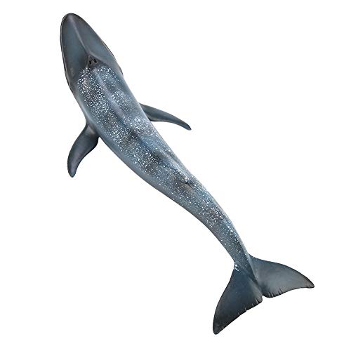 Zerodis Wal Modell Simulation Miniatur Wal Spielzeug Sammlung Figur Wild Marine Ozean Kreaturen Tier Spielzeug Home Ornament für Kinder Geschenk(Blauwal) von Zerodis