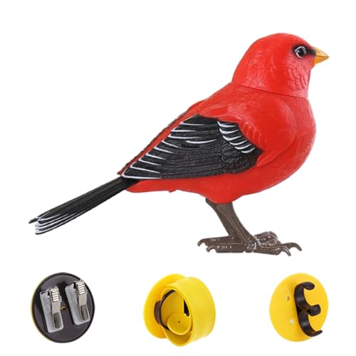 Zhadyu Vogel Spielzeug - Elektrischer Singvogel | Niedliches Realistisches Tier Interaktives Sensorikspiel Für Schreibtisch Deko Raum Wartebereich Zhadyu Vogel Spielzeug - Elektrischer Singvogel | Niedliches Realistisches Tier Interaktives Sensorikspiel Für Schreibtisch Deko Raum Wartebereich von Zhadyu