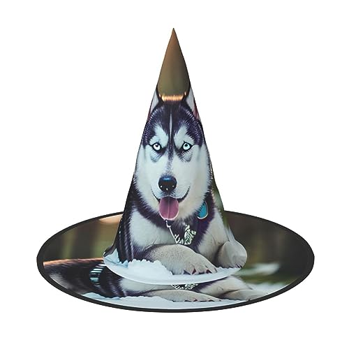 ZhanGM Husky Hund Halloween Hut - Erwachsene Kostüm Zubehör Party Maskerade Damen Cosplay Kleid Faltbare Dekorationen von ZhanGM