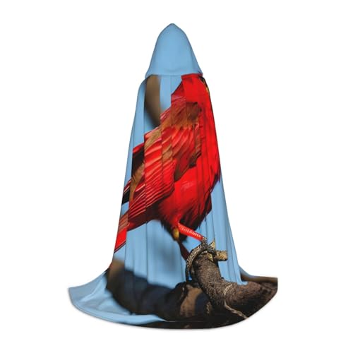 Zhangm Wunderschöner roter Vogel Unisex Kapuzenumhang - Perfekt für Rollenspiele Kostüm Cosplay Weihnachten Umhang Robe Halloween Ostern Karneval von Zhangm