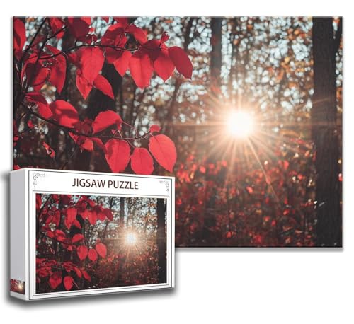 Puzzle 1000 Teile Wald Puzzle Erwachsene Anspruchsvoll, Holzpuzzle Jigsaw Puzzle Blatt Puzzle Groß 75x50 cm Impossible Puzzle für Männer, Klassische Puzzles für Erwachsene Frauen, ältere Menschen O-5 von Zhngzoyn