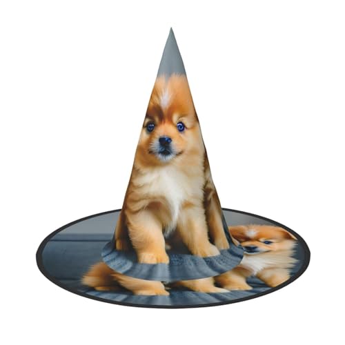 Zhuanyun Zwergspitz-Welpen und Punkt-Druck Halloween Hut Halloween Kostüm Zubehör Kopfschmuck Party Zubehör Hexenhut Zhuanyun Zwergspitz-Welpen und Punkt-Druck Halloween Hut Halloween Kostüm Zubehör Kopfschmuck Party Zubehör Hexenhut von Zhuanyun
