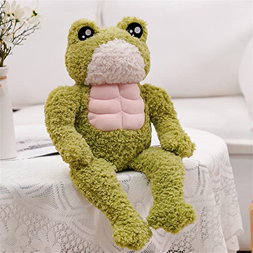 Zinsale Lustiger Muskelfrosch Plüschtier, weich gefüllt, Froschpuppen, kuscheliges Plüschspielzeug, Geschenke für Mädchen, Kinder, Jungen (Frosch, 35CM) von Zinsale