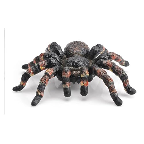 Spinnenfigur - Vogelspinne Spielzeug | 21x14x2cm Realistische Spinnenfiguren | PP Spielzeugspinne Halloween-Dekoration | Halloween-Streich-Requisiten | Lebendige Streich-Requisiten Für Fantasievolles von Ziurmut