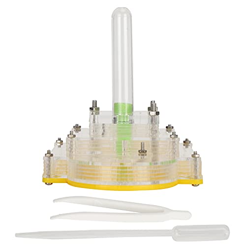 Acryl-Ameisenzuchtbox, Ameisenfarm-Ameisenhaus, Ameisennest-Glasnest, transparente Beobachtungsfütterungsbox, Ameisenhaus-Spielzeug für Kinder von Zoeyilan