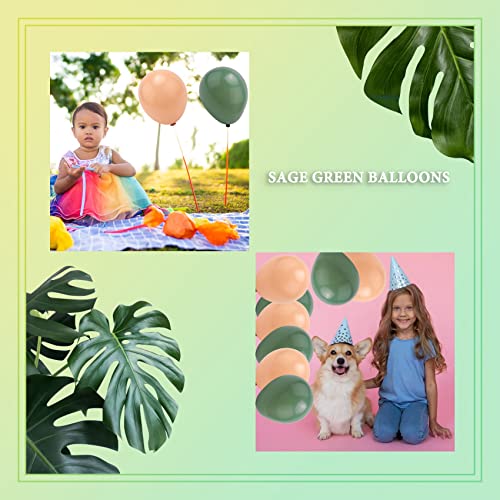 Zunedhys SalbeigrüNer Ballon Girlandenbogen Satz,Enthalten Eukalyptus, Weiß-, Goldkonfetti Ballons und GrüN für die Baby Party von Zunedhys