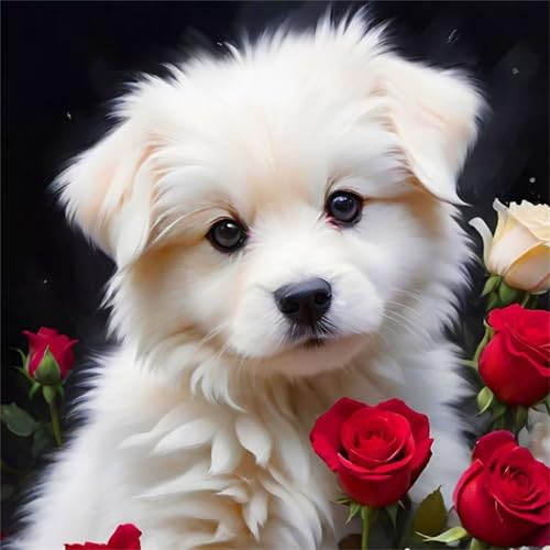 Puzzle 1000 Teile Heckenrose,Puzzles für Erwachsene 1000 Teile EIN Herausforderndes Geschicklichkeitsspiel,DIY Puzzlespiele für Die Ganze Familie,Männer Frauen für Geschenk Puzzle 1000 Teile Heckenrose,Puzzles für Erwachsene 1000 Teile EIN Herausforderndes Geschicklichkeitsspiel,DIY Puzzlespiele für Die Ganze Familie,Männer Frauen für Geschenk von Zuooyi