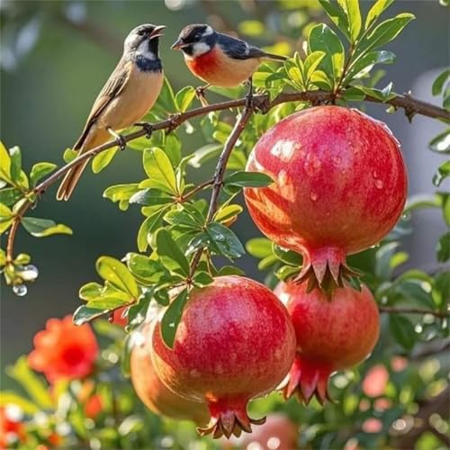 Puzzle 120 Teile Erwachsene 45x45cm Herbstroter Granatapfel,Jigsaw Puzzle Erwachsene 120 Teile Lernspiel Herausforderung Spielzeug,High Difficulty Impossible Puzzles für Home Dekoration Puzzle 120 Teile Erwachsene 45x45cm Herbstroter Granatapfel,Jigsaw Puzzle Erwachsene 120 Teile Lernspiel Herausforderung Spielzeug,High Difficulty Impossible Puzzles für Home Dekoration von Zuooyi