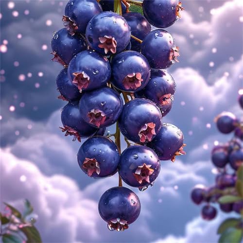 Puzzle 300 Teile für Erwachsene Blaubeer-Tauwolke,35x35cm Klassisches Puzzles Lernspiel für Erwachsene,Bunte Kunstwerk Puzzle,Wunderschönes Dekoration Puzzles Geschenke Puzzle 300 Teile für Erwachsene Blaubeer-Tauwolke,35x35cm Klassisches Puzzles Lernspiel für Erwachsene,Bunte Kunstwerk Puzzle,Wunderschönes Dekoration Puzzles Geschenke von Zuooyi