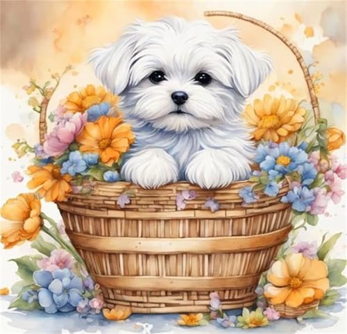 Puzzle 300 Teile für Erwachsene Flauschige Hundeblume,35x35cm Klassisches Puzzles Lernspiel für Erwachsene,Bunte Kunstwerk Puzzle,Wunderschönes Dekoration Puzzles Geschenke Puzzle 300 Teile für Erwachsene Flauschige Hundeblume,35x35cm Klassisches Puzzles Lernspiel für Erwachsene,Bunte Kunstwerk Puzzle,Wunderschönes Dekoration Puzzles Geschenke von Zuooyi