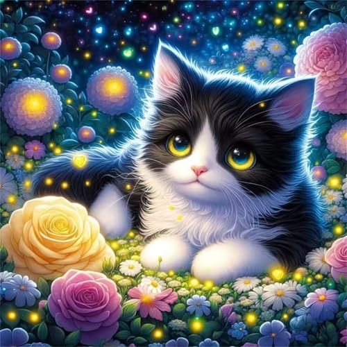 Puzzle 300 Teile für Erwachsene Schwarze Katze Glühwürmchen,35x35cm Klassisches Puzzles Lernspiel für Erwachsene,Bunte Kunstwerk Puzzle,Wunderschönes Dekoration Puzzles Geschenke Puzzle 300 Teile für Erwachsene Schwarze Katze Glühwürmchen,35x35cm Klassisches Puzzles Lernspiel für Erwachsene,Bunte Kunstwerk Puzzle,Wunderschönes Dekoration Puzzles Geschenke von Zuooyi
