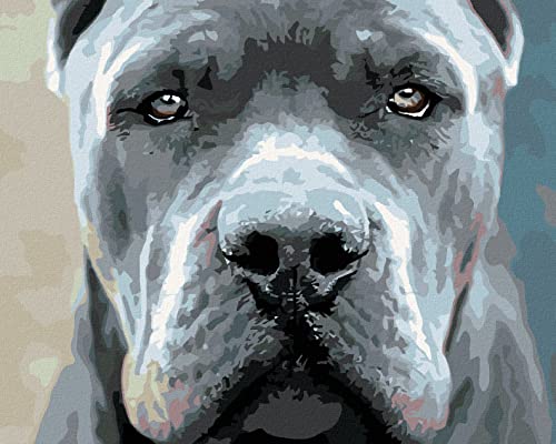 Zuty 564232, Malen nach Zahlen-Cane Corso 80x100 cm ohne Keilrahmen von Zuty