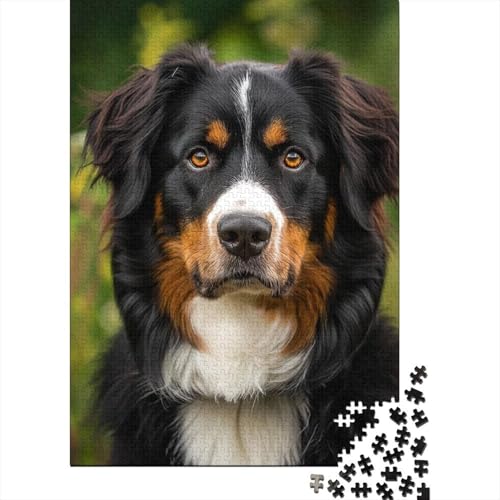 Puzzle für Springer Spaniel, Puzzle für Erwachsene, 500-teiliges Holzbrettpuzzle für Erwachsene, Geschenke für Erwachsene, anspruchsvolles Spiel, 500 Teile (52 x 38 cm) von aaaaab