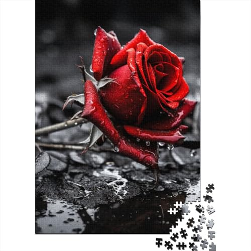 Rosenpuzzle, anpassbare Bilder, 100% recycelte Pappe, Puzzle für Kinder und Erwachsene ab 12 Jahren, einzigartiges Geschenk, 38 x 26 cm, 1000 Teile Rosenpuzzle, anpassbare Bilder, 100% recycelte Pappe, Puzzle für Kinder und Erwachsene ab 12 Jahren, einzigartiges Geschenk, 38 x 26 cm, 1000 Teile von aaaaab