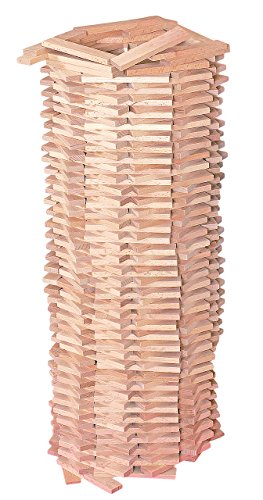 200 Stück große - Holzbausteine/Domino Bausteine aus Holz - Dominobausteine - Steine Holzbausteine Bricks Natur Baustein Naturbaustein - Kinderland - Holzba.. von alles-meine.de GmbH