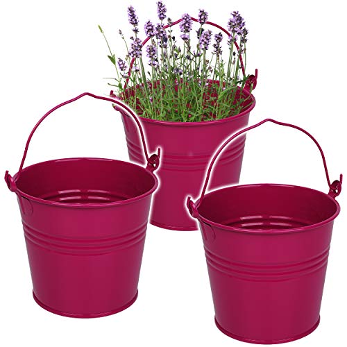 3 Stück kleine - Metalleimer/Blumentöpfe - pink/Purpur/violett/rosa - lila - 15 cm hoch - 2 Liter - Metall rostfrei - Blech Eimer - rund - mit 3-D E.. von alles-meine.de GmbH