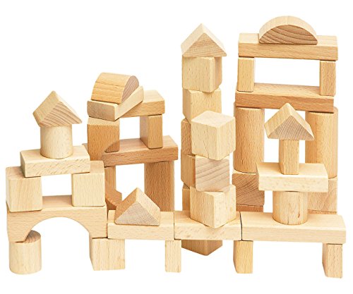 50 Stück große - Bausteine aus Holz - Steine Holzbausteine Bricks Natur Baustein Naturbaustein - Kinderland - Holzbaustein - für Kinder Mädchen Jungen/Holzs.. von alles-meine.de GmbH