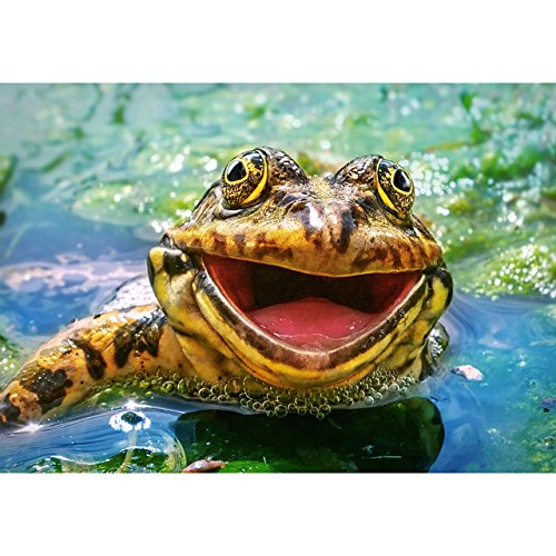 alles-meine.de GmbH Puzzle 500 Teile - Green & Fun - Frosch im Teich - Kröte Unke - Lurch - lustiges Bild - Tiere im Wald - See - Tier - Tierkinder/Tierpuzzle - Kinderpuzzle .. von alles-meine.de GmbH